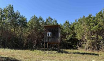57 40 Acres-TBD Cades Rd, Cades, SC 29518