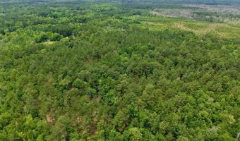 Fox Paw Court, Branchville, SC 29432