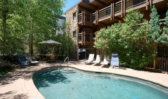131 E Durant Avenue 410, Aspen, CO 81611