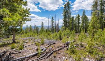 NHN Rosa Trail, Anaconda, MT 59711