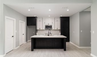 611 Tower Oak Dr, Alamo, TX 78516