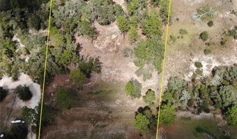 11491 NE 109TH Pl, Archer, FL 32618