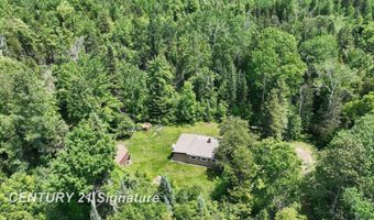 6002 Wildwood, Alger, MI 48610