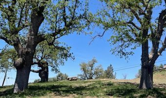 25080 Cannonero Ct, Tehachapi, CA 93561