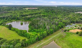 Vine Drive, Brandon, MS 39047