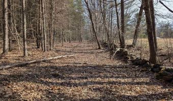 M 3 - L 15-1 & 2 Prospect Mountain Road, Alton, NH 03809