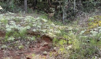 2242 WESTWOOD Dr Lot 11, Alexandria, AL 36250