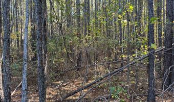 Richmond Road, Amelia Court House, VA 23002