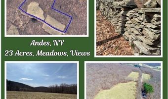 Lot 2 Doig Hollow Road, Andes, NY 13731