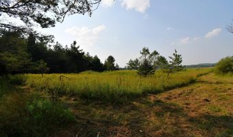 9537 LAKEVIEW Rd, Alanson, MI 49706