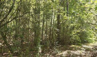 2862 Wallace Dr, Bogue Chitto, MS 39629