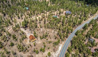 9 2076, Alpine, AZ 85920