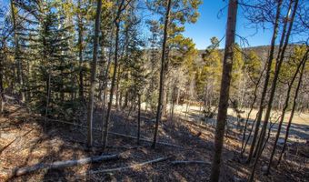 431 N Aspen St, Alma, CO 80420