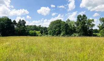 9250 Vincent Ave SE, Alto, MI 49302