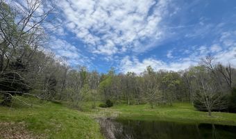 10515 Paw Paw Springs Rd, Arrington, TN 37014