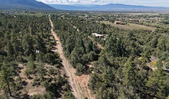 Robertos Lane, Arroyo Seco, NM 87514