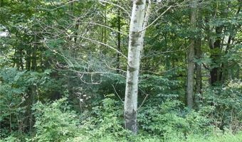 Lot 17 Farm Loop Road, Banner Elk, NC 28604