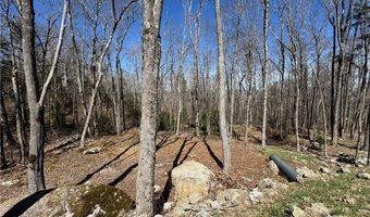 ES71 Twisted Oak Path, Banner Elk, NC 28604