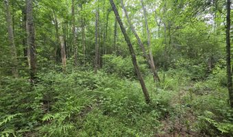 1542 Wellman Dr, Brookhaven, MS 39601