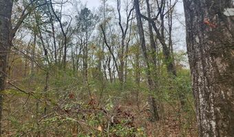 00 Bogue Chitto Rd SW, Bogue Chitto, MS 39664