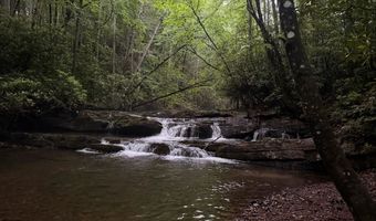 Tdb Cove Creek Rd, Bastian, VA 24314
