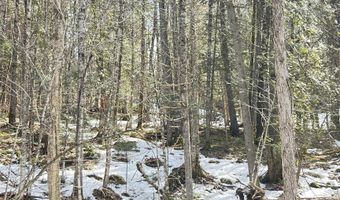 Hollow Road, Barton, VT 05822