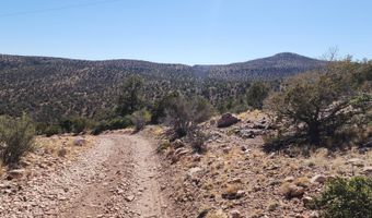 Lot 1 Big View, Ash Fork, AZ 86320