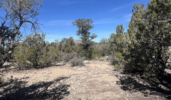 362 Big View Trl, Ash Fork, AZ 86320
