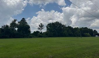 104 Builders Square Dr, Brandon, MS 39047