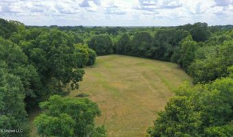 818 Cannon Ave, Bentonia, MS 39040