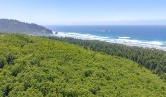 Shark Creek Ln, Arch Cape, OR 97102