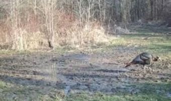 000 Hwy 105, Atkins, AR 72823