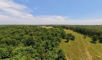 N County Road 113, Alton, MO 65606