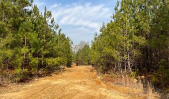 Cunningham Road, Bradley, SC 29819