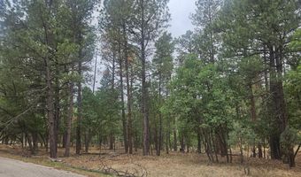 74 Lot Silvertip Trl 5, Alto, NM 88312