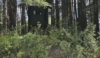 15252 27 Mile Rd, Albion, MI 49224
