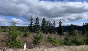 Northrup Creek Rd, Birkenfeld, OR 97016