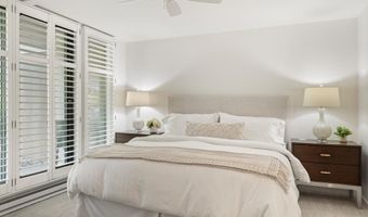 800 E Hopkins Ave A-3, Aspen, CO 81611