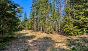 L13B1 Leonard Loop, Athol, ID 83801