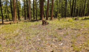 98 County Road 2266, Alpine, AZ 85920