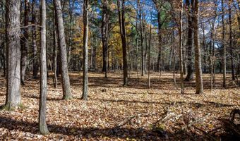 Lot 33 S Badger Lane, Arkdale, WI 54613