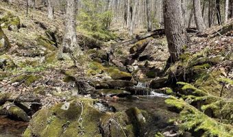 2527 Bent Hill Rd, Braintree, VT 05060