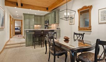 610 S West End St D203, Aspen, CO 81611