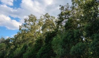 Fuselier Road lot 1, Arnaudville, LA 70512