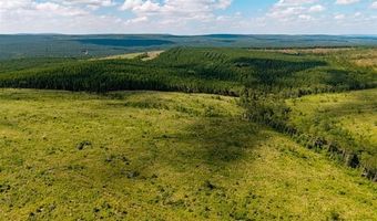 N 4295 Road, Antlers, OK 74567