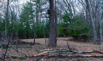 255 45 Ac Dover Dr, Adams, WI 53910