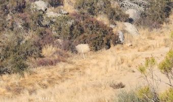 824 Rocky Ridge Ct, Aguanga, CA 92536