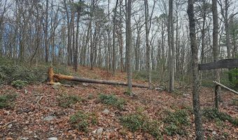 Lot 3 BROWN BEAR TRAIL, Bloomery, WV 26817