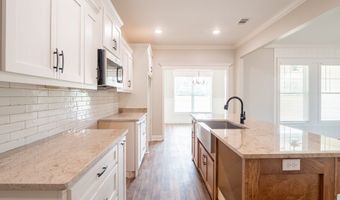 153 Lakeridge, Adel, GA 31620