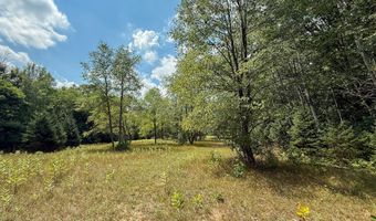 39 Acres N Pingree Rd, Alma, MI 48801